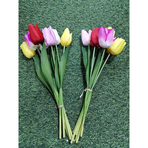 [T2033] Tulipanes x7 unds